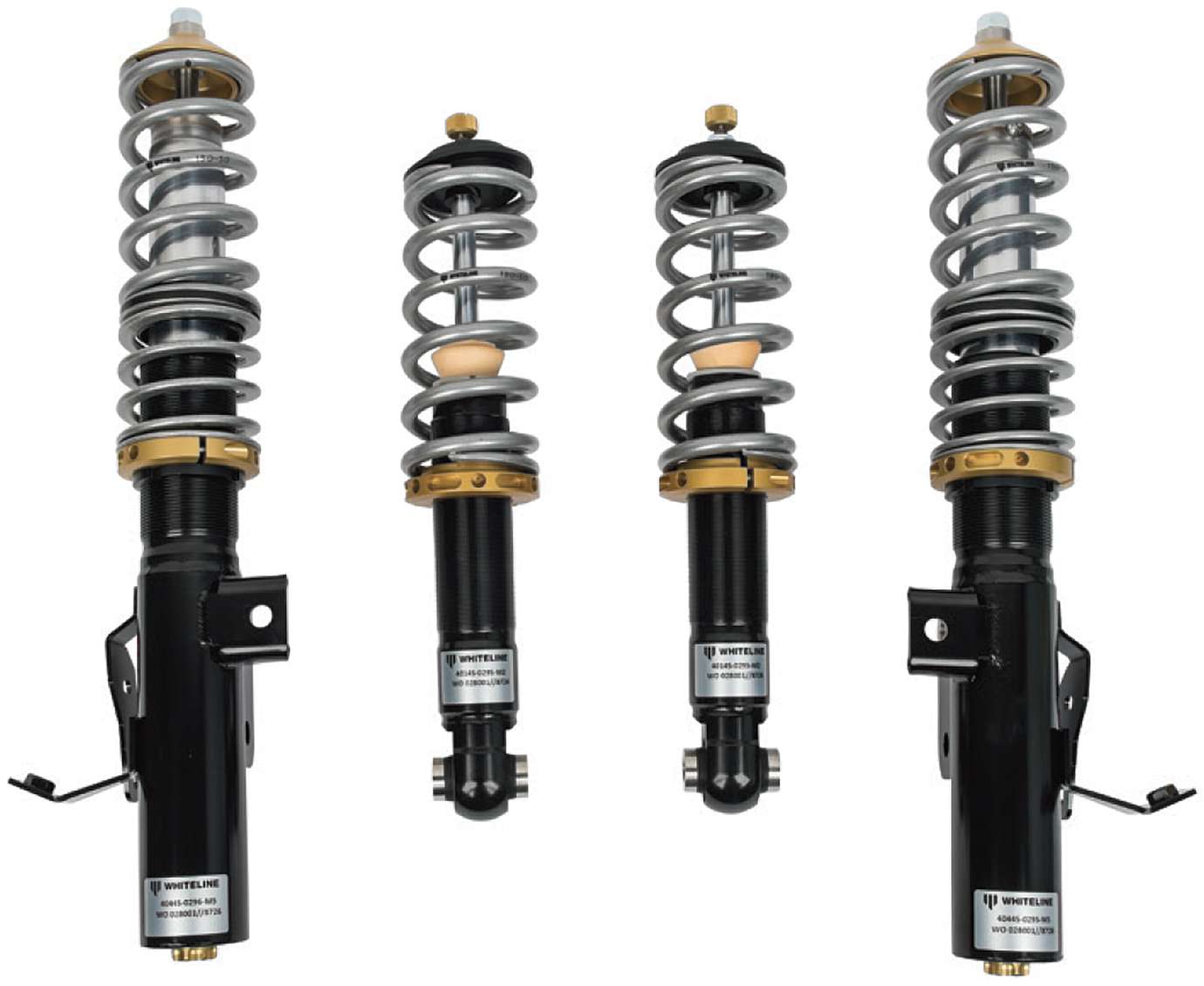 whiteline maxg coilovers